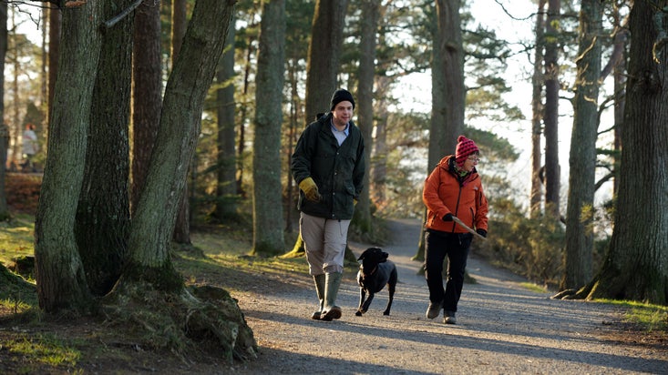 Two visitors enjoy a woodland walk with their dog in Borrowdale in the northern Lake District